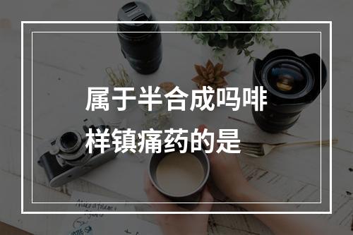 属于半合成吗啡样镇痛药的是