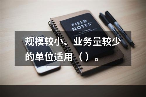 规模较小、业务量较少的单位适用（ ）。