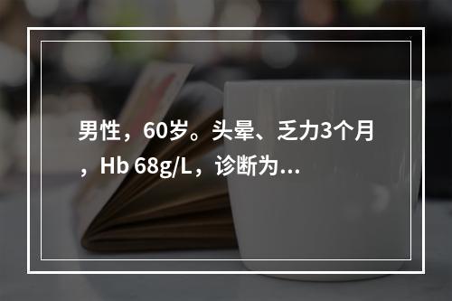 男性，60岁。头晕、乏力3个月，Hb 68g/L，诊断为缺