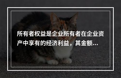 所有者权益是企业所有者在企业资产中享有的经济利益，其金额为企