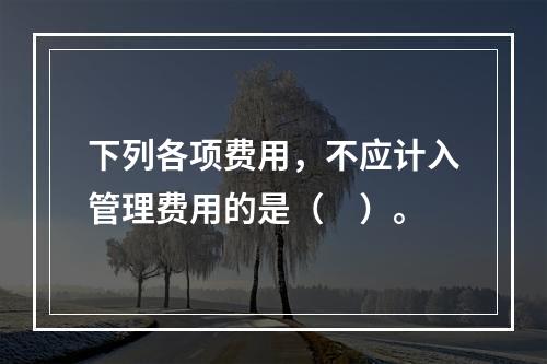 下列各项费用，不应计入管理费用的是（　）。