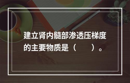 建立肾内髓部渗透压梯度的主要物质是（　　）。