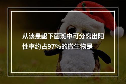 从该患龈下菌斑中可分离出阳性率约占97％的微生物是