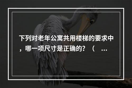 下列对老年公寓共用楼梯的要求中，哪一项尺寸是正确的？（　　