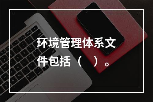 环境管理体系文件包括（　）。