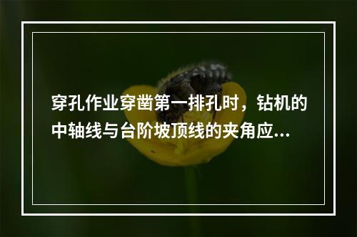 穿孔作业穿凿第一排孔时，钻机的中轴线与台阶坡顶线的夹角应不小