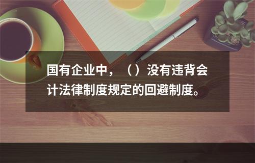 国有企业中，（ ）没有违背会计法律制度规定的回避制度。