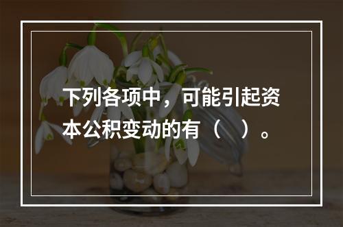 下列各项中，可能引起资本公积变动的有（　）。