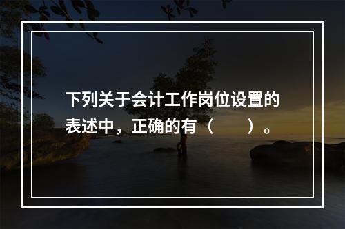 下列关于会计工作岗位设置的表述中，正确的有（　　）。