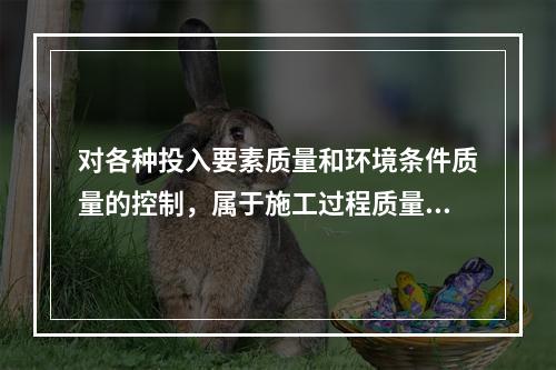 对各种投入要素质量和环境条件质量的控制，属于施工过程质量控制