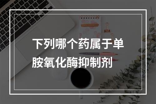 下列哪个药属于单胺氧化酶抑制剂