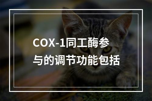 COX-1同工酶参与的调节功能包括