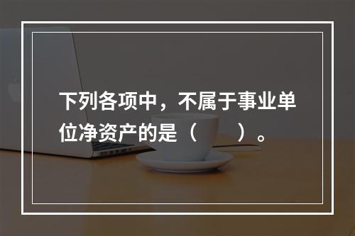 下列各项中，不属于事业单位净资产的是（　　）。