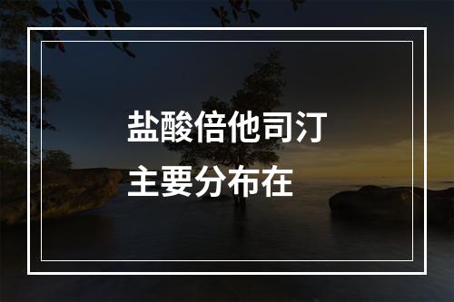 盐酸倍他司汀主要分布在