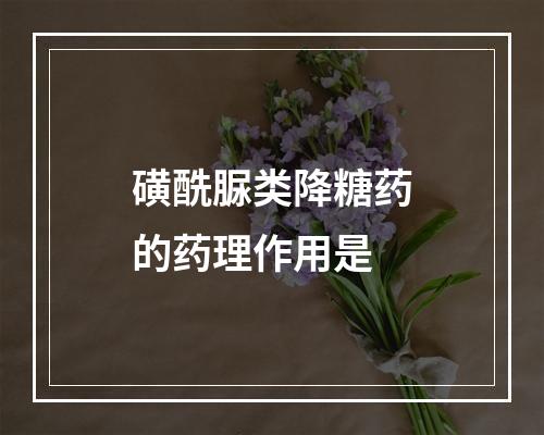 磺酰脲类降糖药的药理作用是