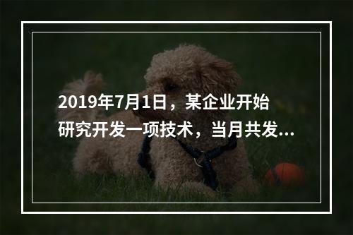 2019年7月1日，某企业开始研究开发一项技术，当月共发生研