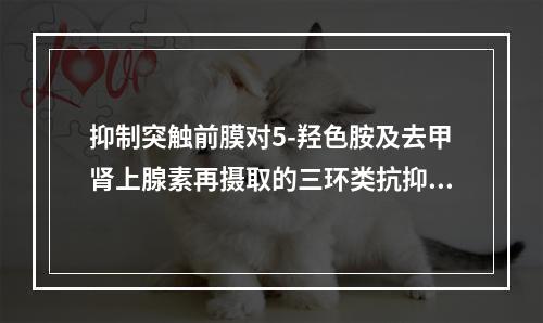 抑制突触前膜对5-羟色胺及去甲肾上腺素再摄取的三环类抗抑郁药