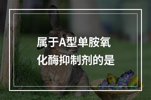 属于A型单胺氧化酶抑制剂的是