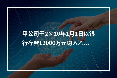 甲公司于2×20年1月1日以银行存款12000万元购入乙集团