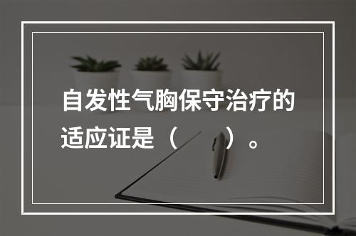 自发性气胸保守治疗的适应证是（　　）。