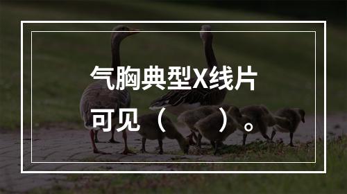 气胸典型X线片可见（　　）。