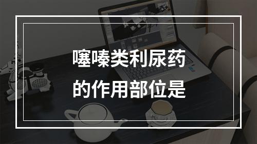 噻嗪类利尿药的作用部位是