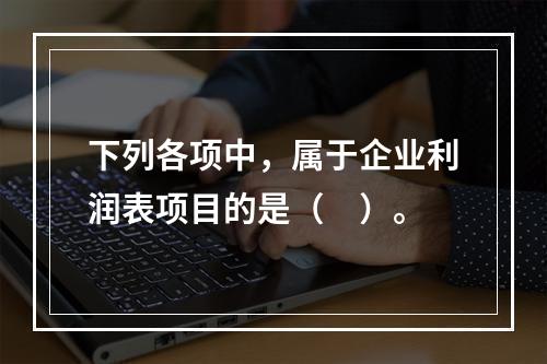 下列各项中，属于企业利润表项目的是（　）。