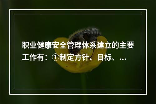 职业健康安全管理体系建立的主要工作有：①制定方针、目标、指标