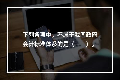 下列各项中，不属于我国政府会计标准体系的是（　　）。