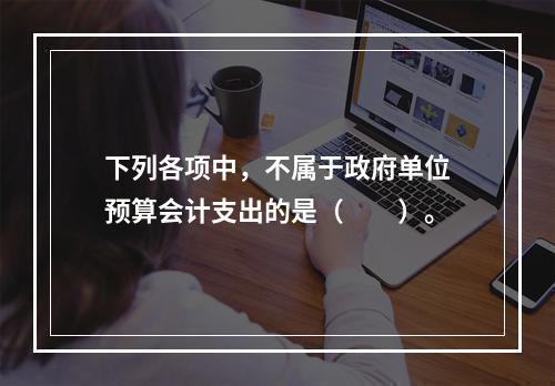 下列各项中，不属于政府单位预算会计支出的是（　　）。