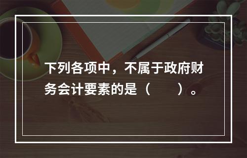 下列各项中，不属于政府财务会计要素的是（　　）。