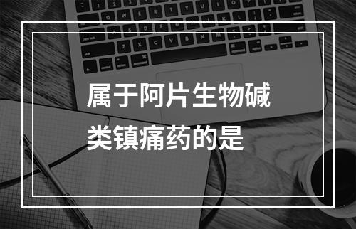 属于阿片生物碱类镇痛药的是