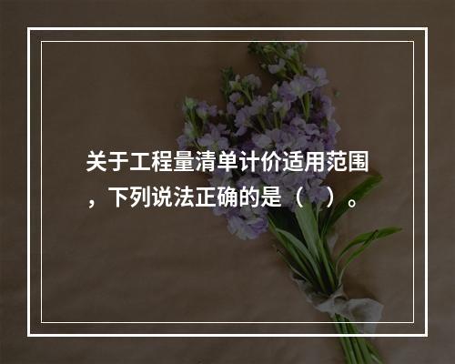 关于工程量清单计价适用范围，下列说法正确的是（　）。