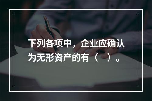 下列各项中，企业应确认为无形资产的有（　）。