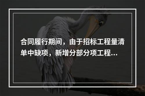 合同履行期间，由于招标工程量清单中缺项，新增分部分项工程清单