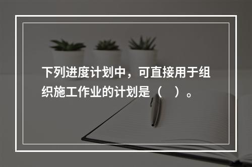 下列进度计划中，可直接用于组织施工作业的计划是（　）。