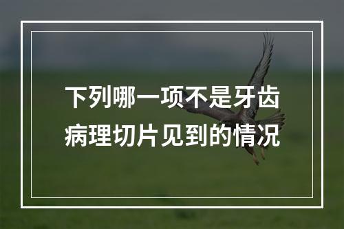 下列哪一项不是牙齿病理切片见到的情况