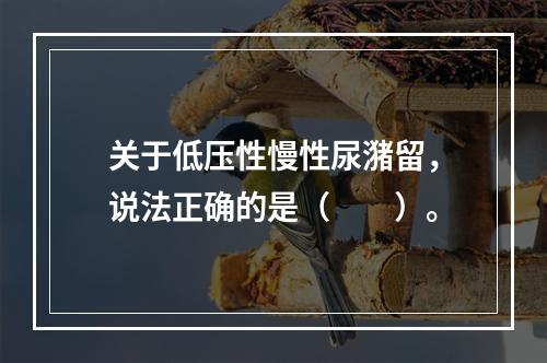 关于低压性慢性尿潴留，说法正确的是（　　）。