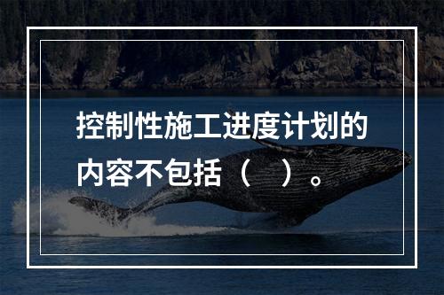 控制性施工进度计划的内容不包括（　）。