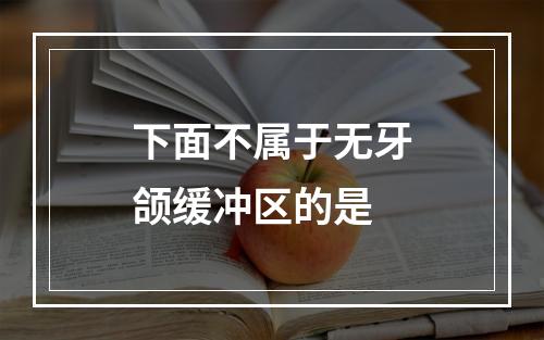 下面不属于无牙颌缓冲区的是