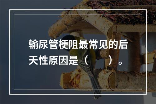 输尿管梗阻最常见的后天性原因是（　　）。