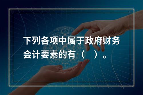 下列各项中属于政府财务会计要素的有（　）。