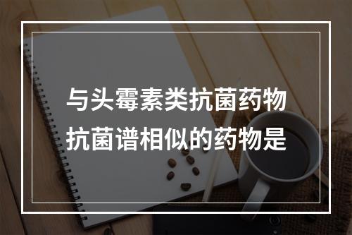 与头霉素类抗菌药物抗菌谱相似的药物是