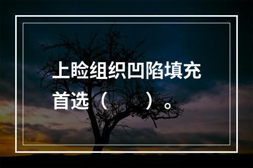 上睑组织凹陷填充首选（　　）。