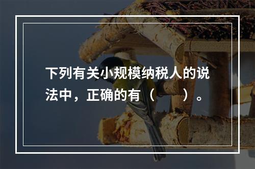 下列有关小规模纳税人的说法中，正确的有（　　）。