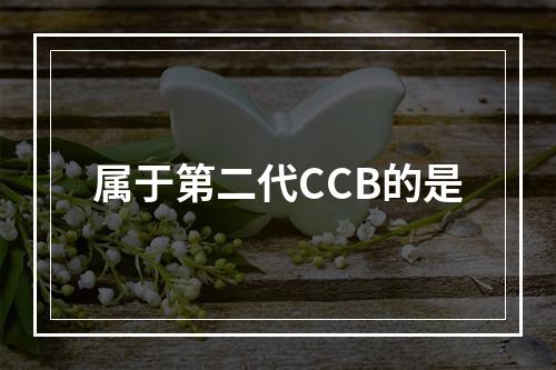 属于第二代CCB的是