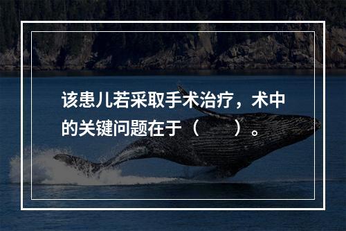 该患儿若采取手术治疗，术中的关键问题在于（　　）。