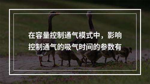 在容量控制通气模式中，影响控制通气的吸气时间的参数有