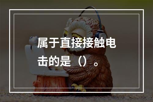 属于直接接触电击的是（）。