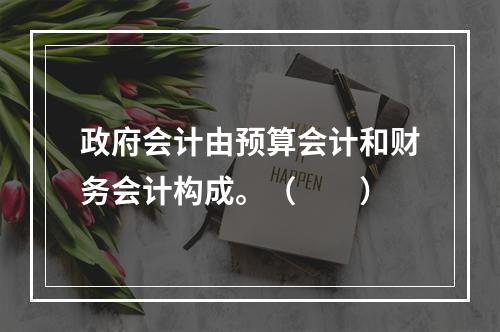 政府会计由预算会计和财务会计构成。（　　）